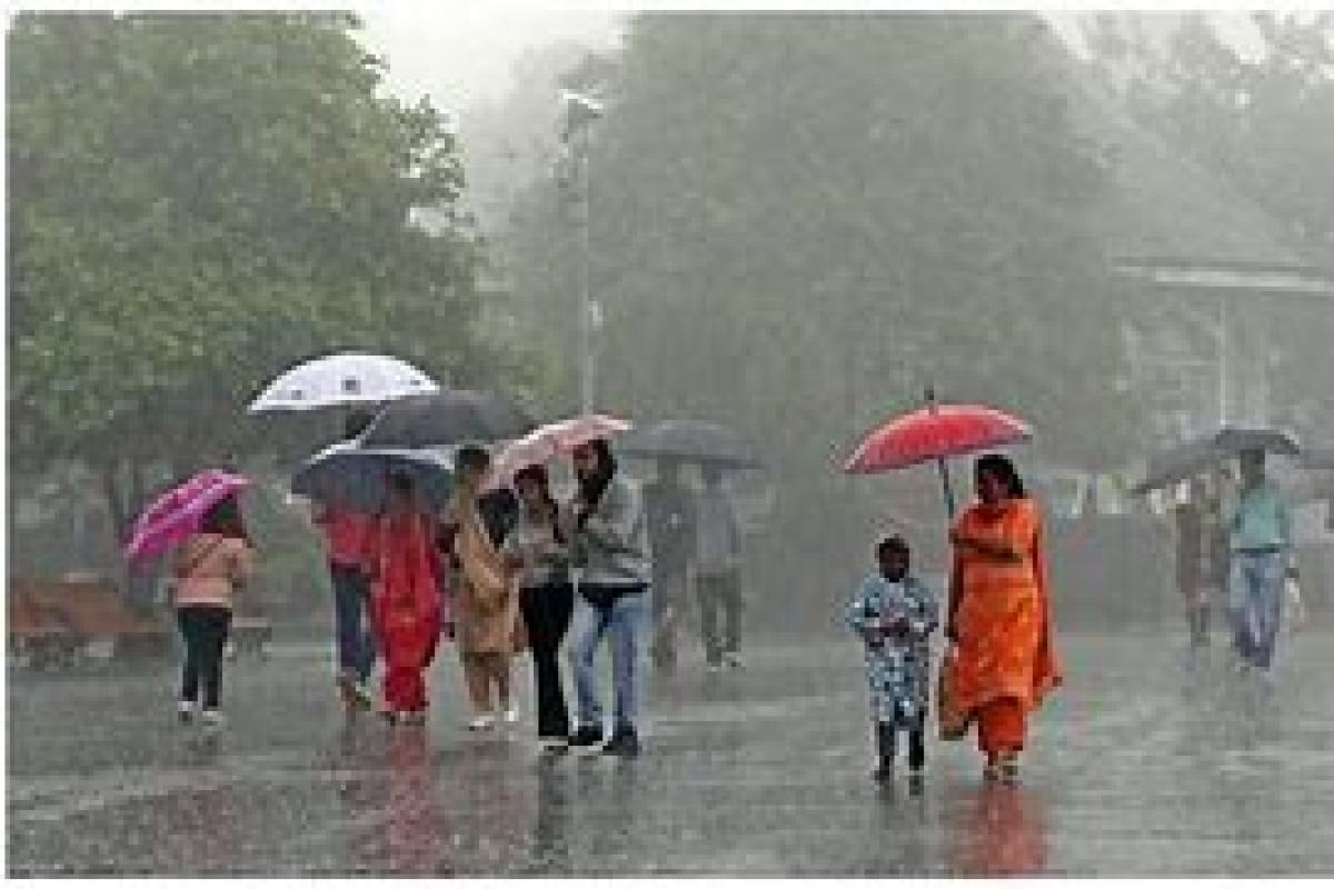 Kerala: IMD Predicts Heavy Rainfall With Thunderstorm, Issues Red Alert For 3 Districts On May 19-20